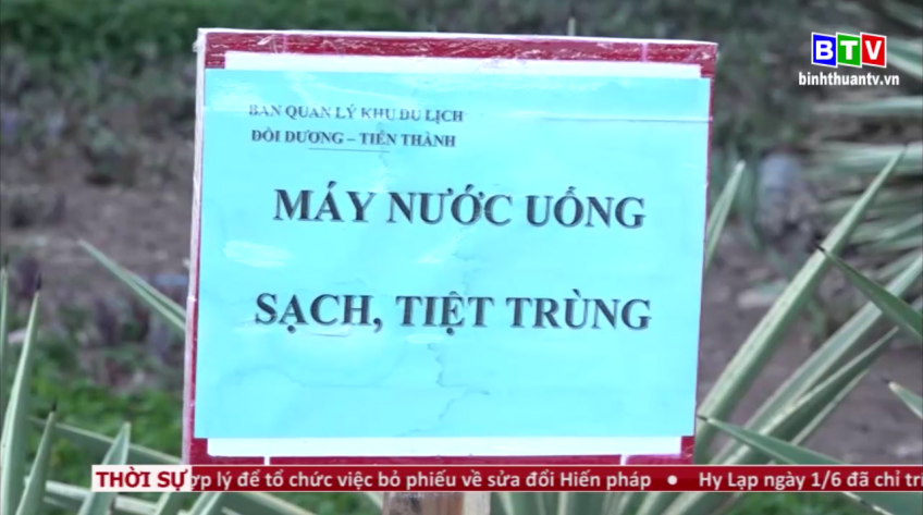 Thời sự tối 02-6-2020