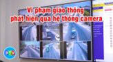 BÌNH THUẬN: MÁI NHÀ CHUNG CỦA ĐỘI NGŨ VĂN NGHỆ SĨ