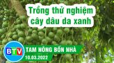 Đưa khoai lang Nhật về trồng cho thu nhập khá | Tam nông bốn nhà  - 28.04.2022