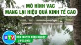 Sản xuất lúa hữu cơ, hướng đi đúng của người nông dân | Câu chuyện nông nghiệp | 05.04.2022