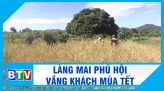 PHÁT HIỆN, BẮT GIỮ ĐỐI TƯỢNG MUA BÁN, TÀNG TRỮ PHÁO NỔ