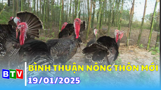 Bình Thuận nông thôn mới 19-01-2025