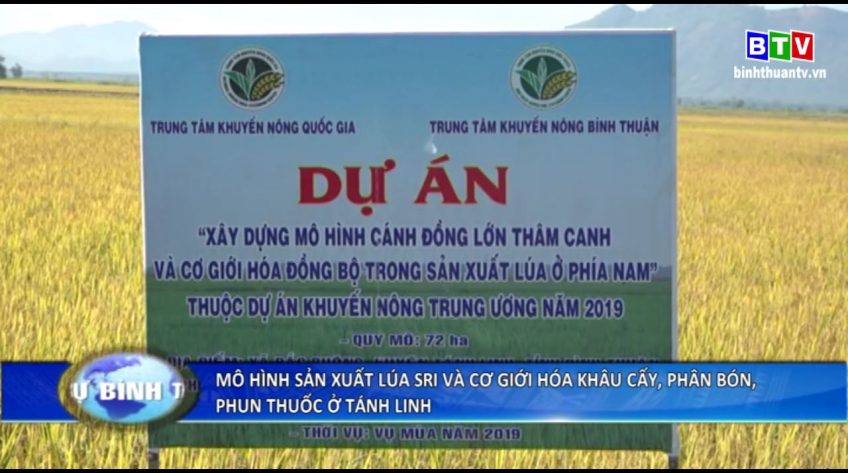 Thời sự trưa 19-12-2019