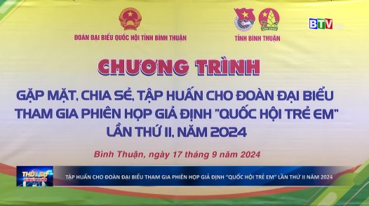 Tập huấn cho đại biểu thiếu nhi tham gia phiên họp giả định “Quốc hội trẻ em” lần thứ II, năm 2024