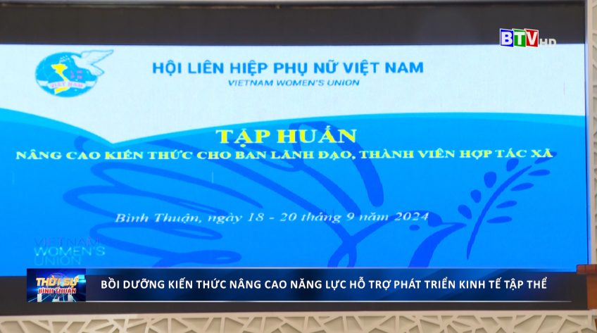 Bồi dưỡng kiến thức nâng cao năng lực hỗ trợ phát triển kinh tế tập thể, hợp tác xã năm 2024