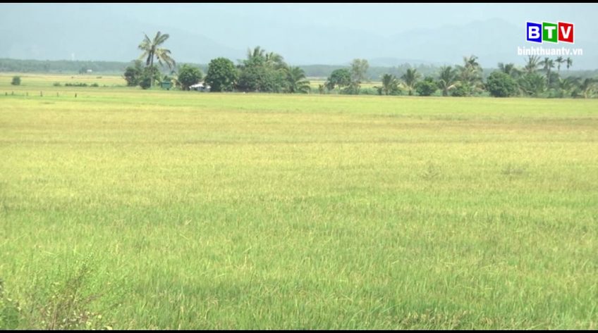 Thời sự sáng 22-11-2019