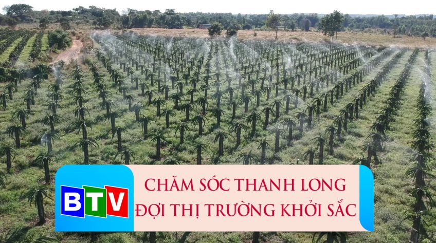 Bình Thuận nông thôn mới 24-4-2022