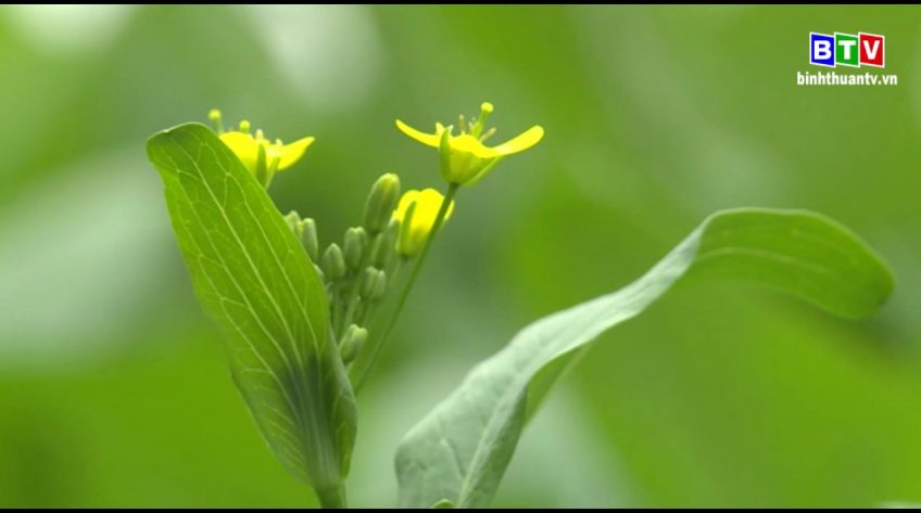 Thời sự sáng 26-11-2019