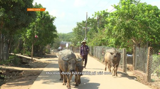 Chương trình Tiếng Chăm 02-9-2024