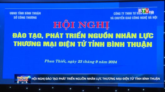 Hội nghị trực tiếp và trực tuyến đào tạo, phát triển nguồn nhân lực thương mại điện tử tỉnh Bình Thuận năm 2024