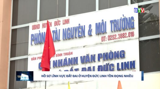 Trên địa bàn huyện Đức Linh tồn đọng nhiều hồ sơ thủ tục hành chính về đất đai.