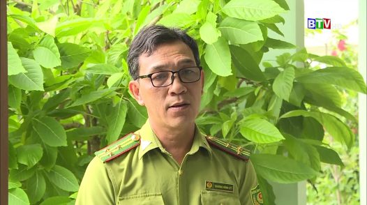 Các địa phương ở phía Nam tỉnh sẵn sàng cho vụ trồng rừng mới