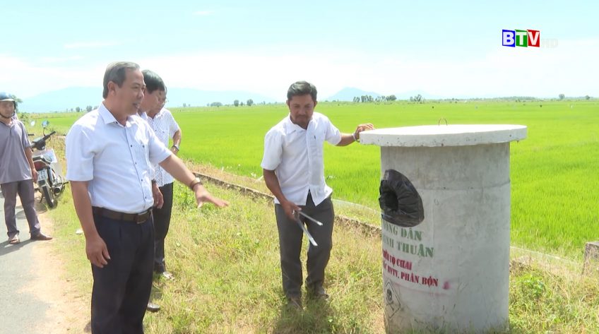 Ngành nông nghiệp Bình Thuận phấn đấu duy trì nhân rộng mô hình sản xuất lúa cải tiến SRI và lúa SRI định hướng hữu cơ từ 50 đến 100 hecta.