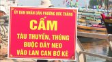 Hội thảo đánh giá các quy định pháp luật và thực tiễn thi hành pháp luật bảo vệ môi trường