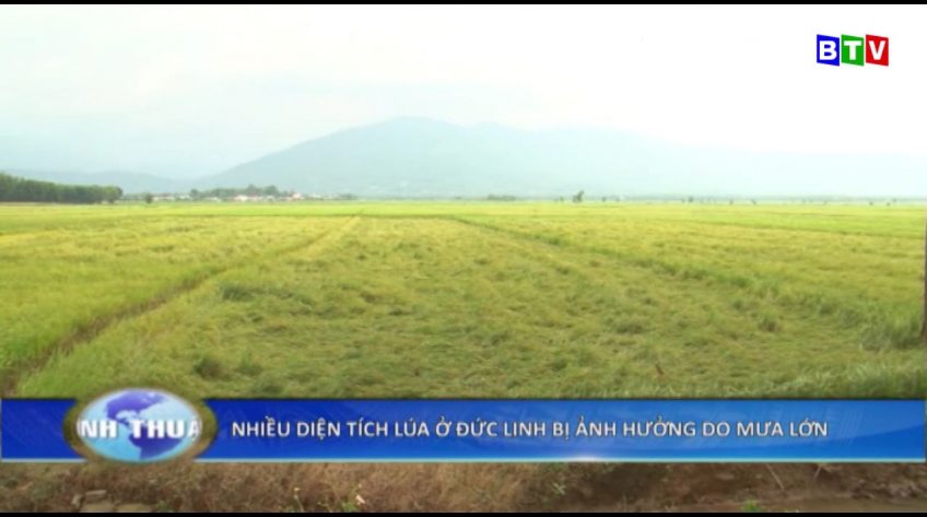 Thời sự trưa 08-08-2019