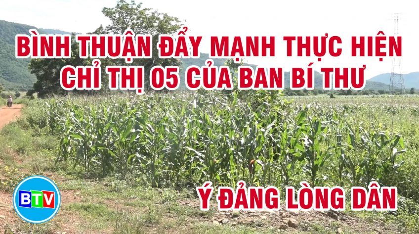 Bình Thuận đẩy mạnh thực hiện chỉ thị 05 của Ban Bí thư | Ý Đảng lòng dân 12.02.2022