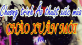 Chương trình Mùng 5 Tết