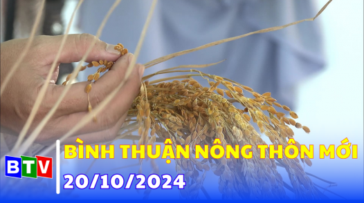 Bình Thuận nông thôn mới - 20/10/2024