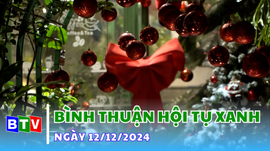 Bình Thuận hội tụ xanh 12.12.2024