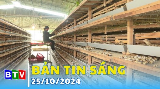 Bản tin sáng 25/10/2024