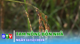 An toàn giao thông | 13-12-2024