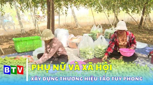 Người góp phần xây dựng thương hiệu táo Tuy Phong | Phụ nữ và các vấn đề xã hội 7.12.2024