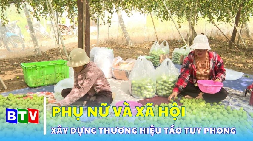 Người góp phần xây dựng thương hiệu táo Tuy Phong | Phụ nữ và các vấn đề xã hội 7.12.2024