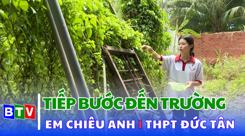 Tiếp bước đến trường | 11.9.2024