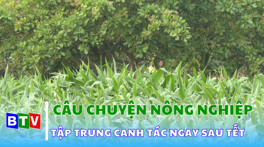 Câu chuyện nông nghiệp | 18.02.2025