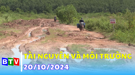 Tài nguyên và môi trường - 20/10/2024