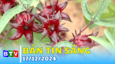 Bình Thuận Hội tụ xanh | 19.12.2024