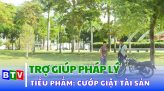 Giải pháp nâng cao chất lượng trợ giúp pháp lý cho người chưa thành niên phạm tội