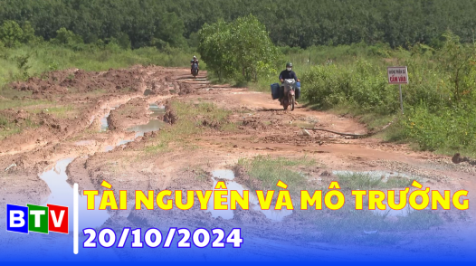 Tài nguyên và môi trường - 20/10/2024