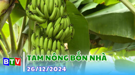 Tam nông bốn nhà - 26.12.2024