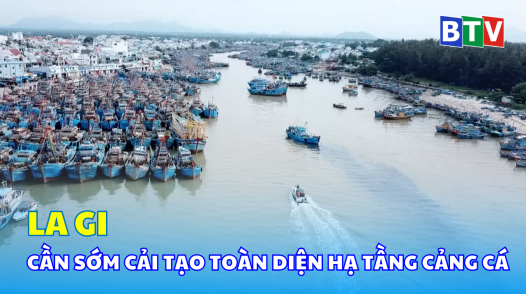 La Gi: Cần sớm cải tạo toàn diện hạ tầng cảng cá