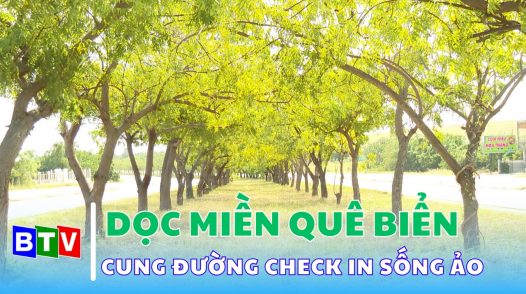 Cung đường check in sống ảo  | Dọc miền quê biển 28/12/2024