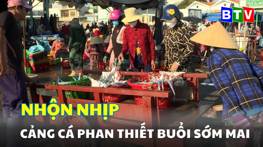 Nhộn nhịp cảng cá Phan Thiết buổi sớm mai