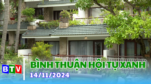 Bình Thuận Hội tụ xanh  | 14/11/2024