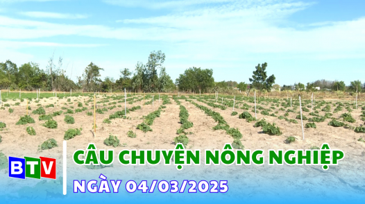 Câu chuyện nông nghiệp | 04/03/2025