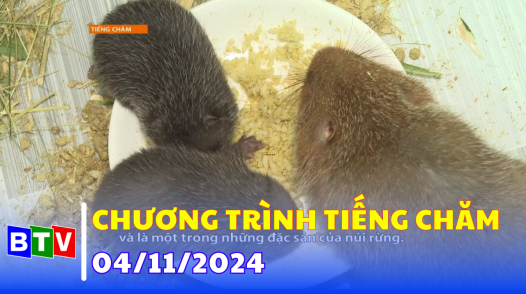 Chương trình Tiếng Chăm 04-11-2024