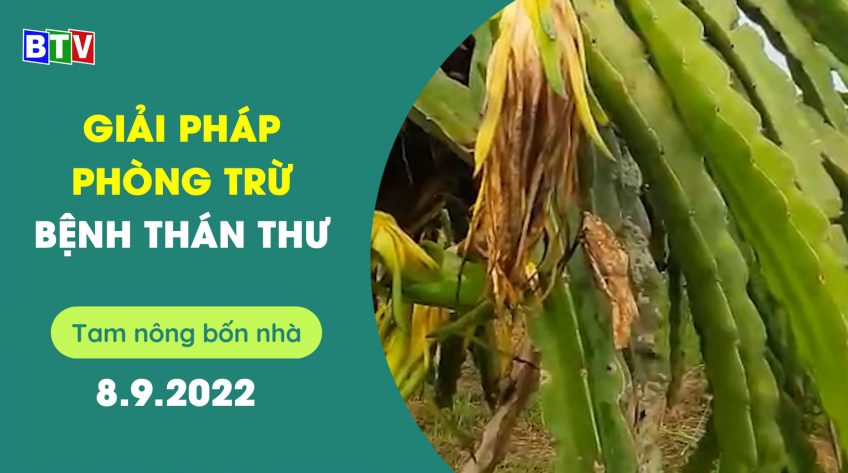 Tam nông bốn nhà 8.9.2022