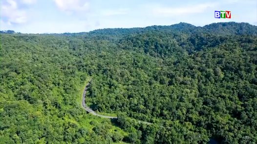Quỹ Bảo vệ và Phát triển rừng tỉnh Bình Thuận sẵn sàng tiếp cận, nâng cao giá trị thặng dư của rừng
