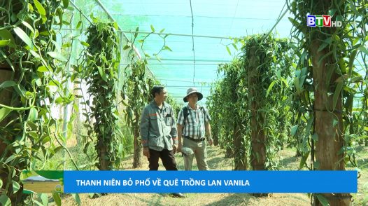 Câu chuyện nông nghiệp | 8.10.2024