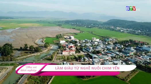 Làm giàu từ nghề nuôi chim yến | Phụ nữ khởi nghiệp