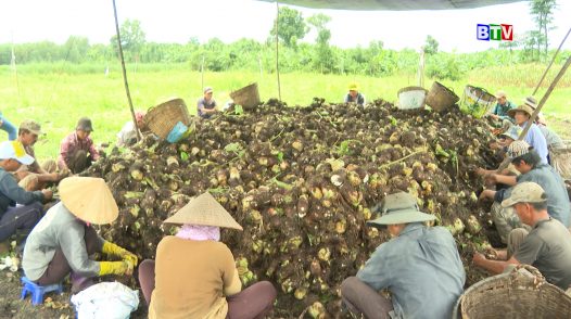 Tam nông bốn nhà | 17.10.2024