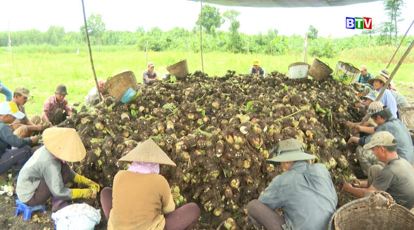 Tam nông bốn nhà | 17.10.2024