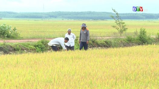 Nghị quyết của lòng dân