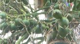 Đền thờ Hùng Vương - Nơi kết nối hồn thiêng dân tộc