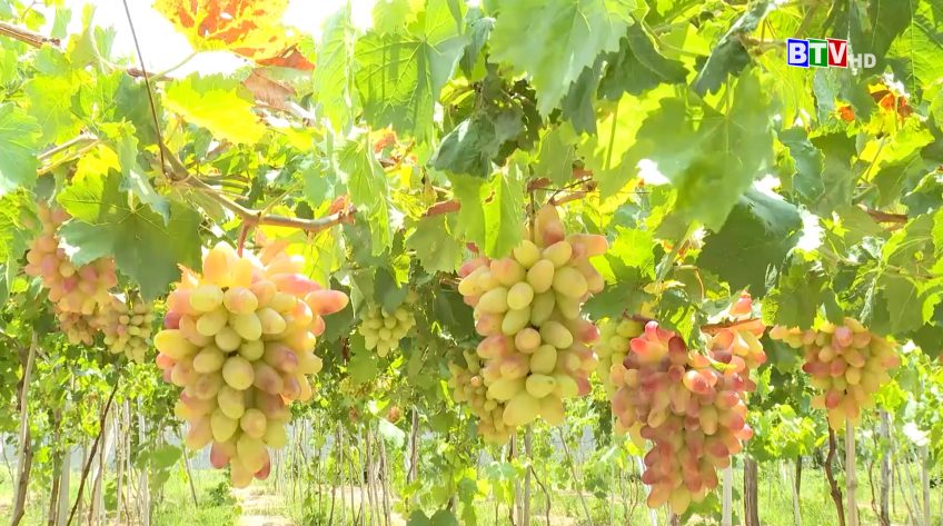 Hợp tác và phát triển | 12.4.2025