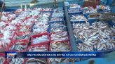 HĐND tỉnh (khóa XI) tổ chức kỳ họp thứ 33 (chuyên đề) thông qua 10 Nghị quyết .